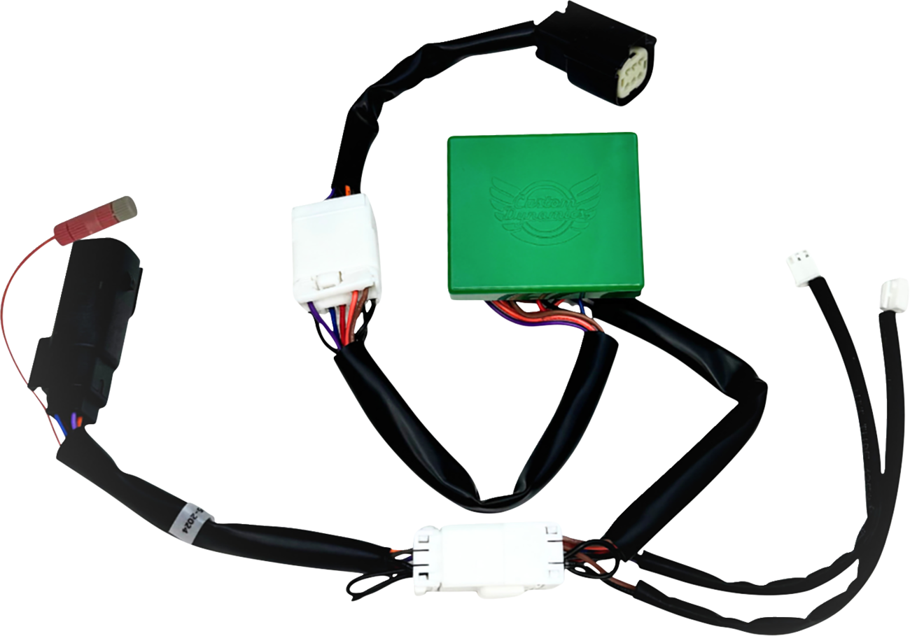 CUSTOM DYNAMICS SMART Triple Play® Module