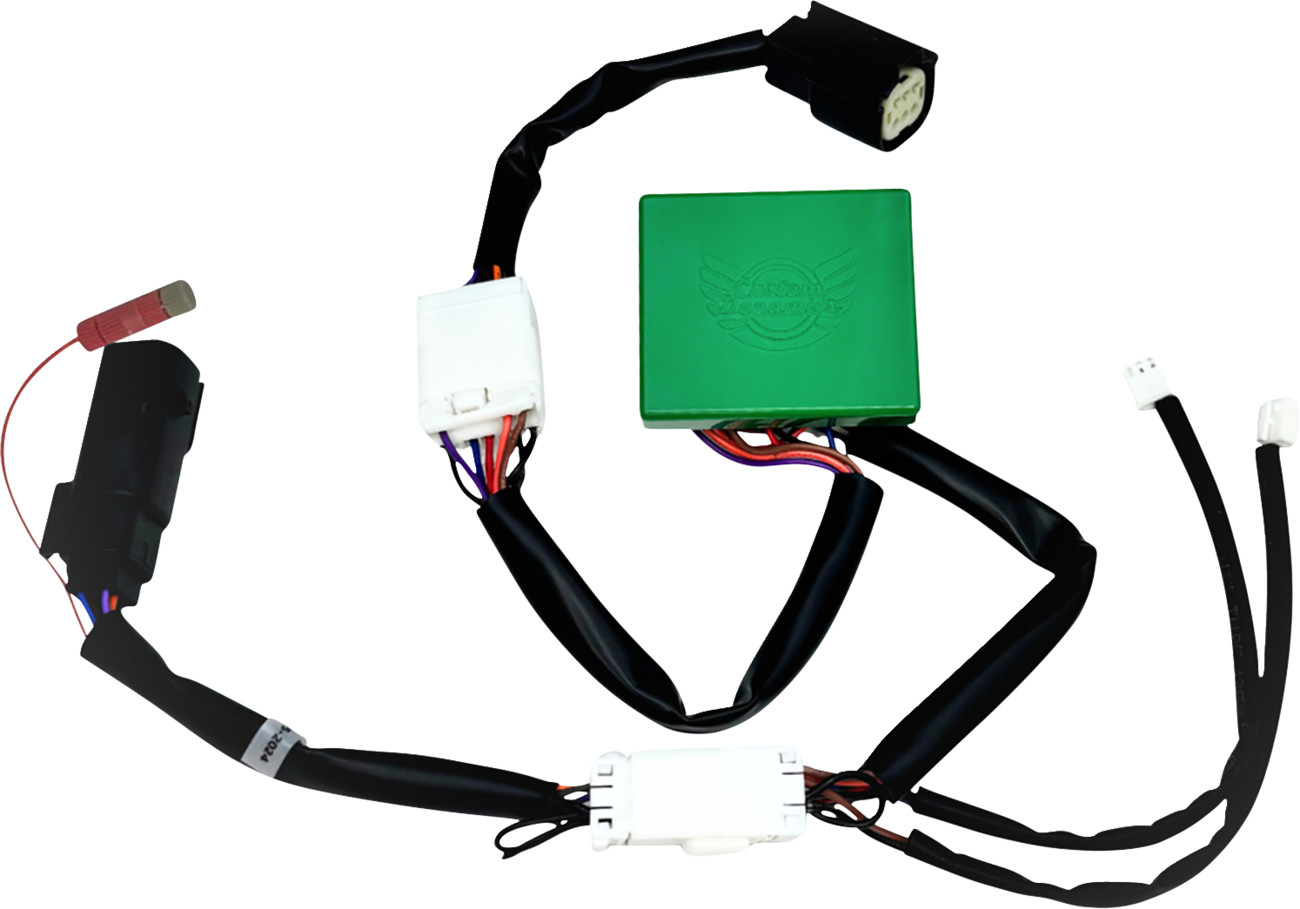 CUSTOM DYNAMICS SMART Triple Play® Module