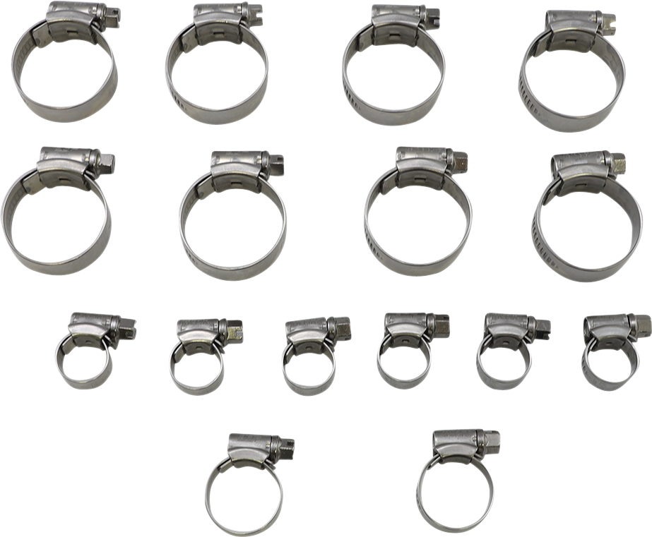 Samco Radiator Hose Clamp Kit