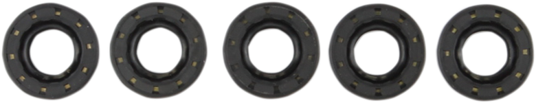 Shifter Shaft Seal