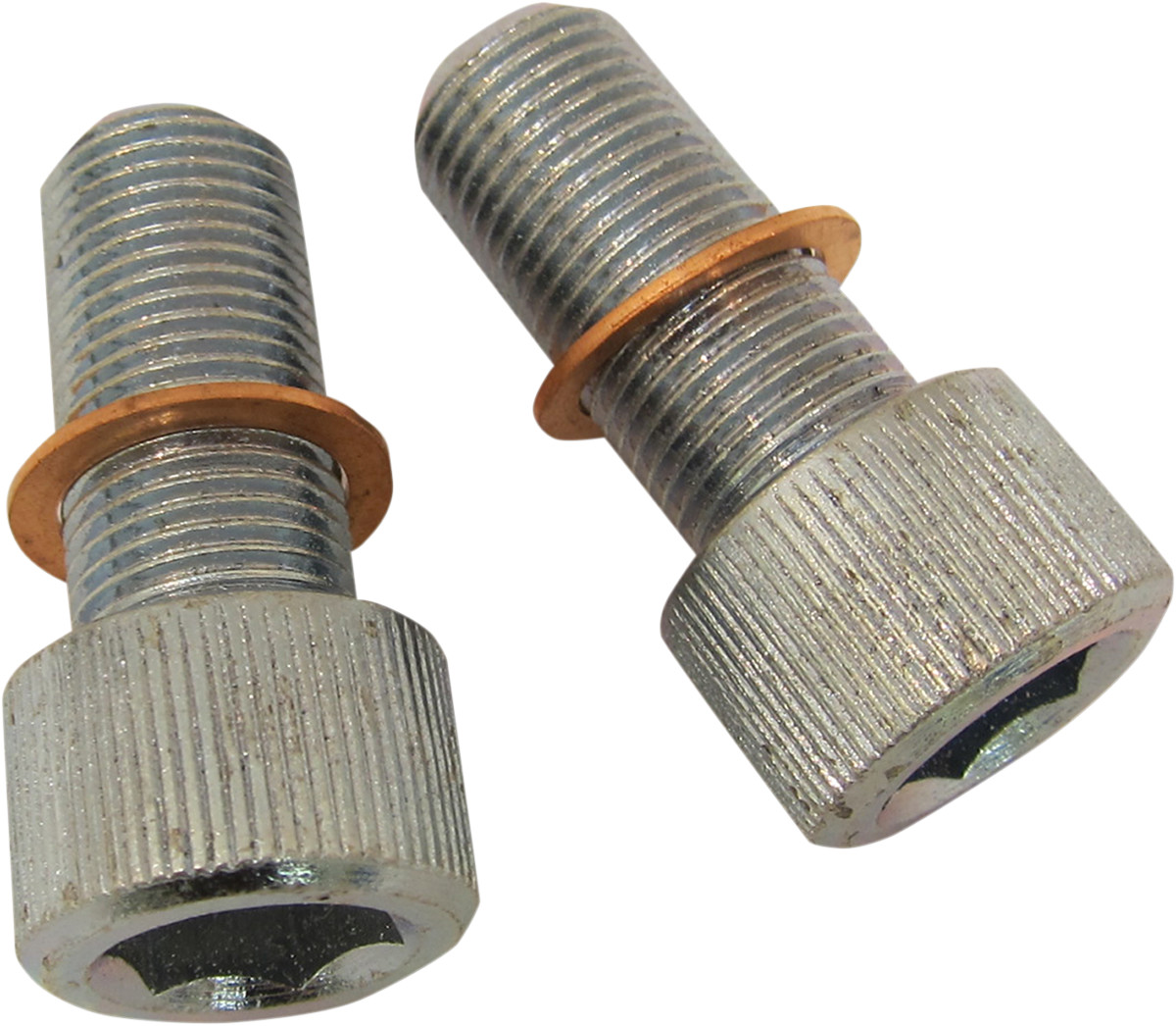 Drag Specialties Fork Tube Damper Mount Kit