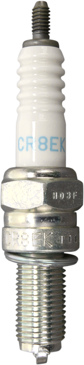 NGK SPARK PLUGS Spark Plug