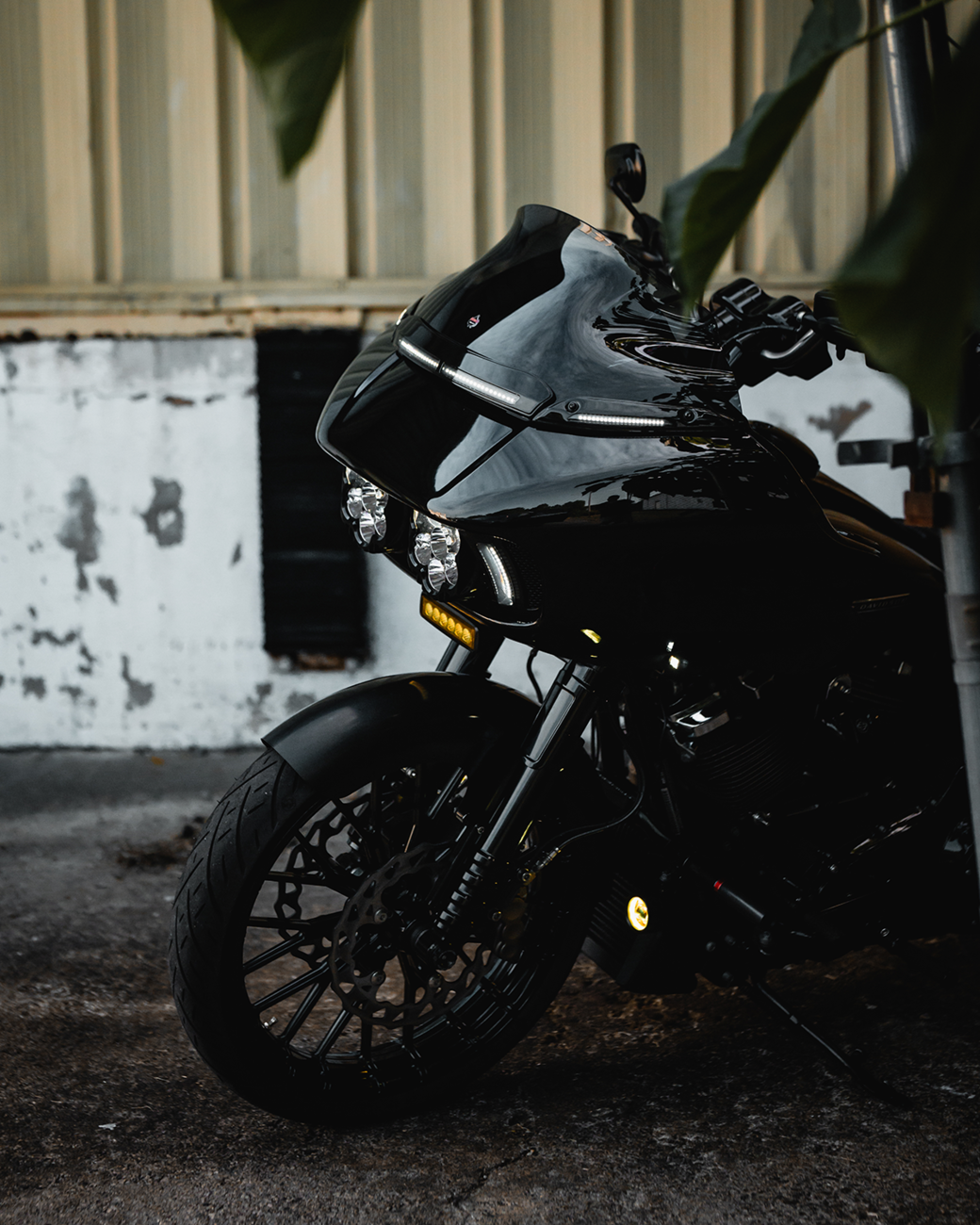 CUSTOM DYNAMICS Shark Demon® 2 Performance Headlight Kit