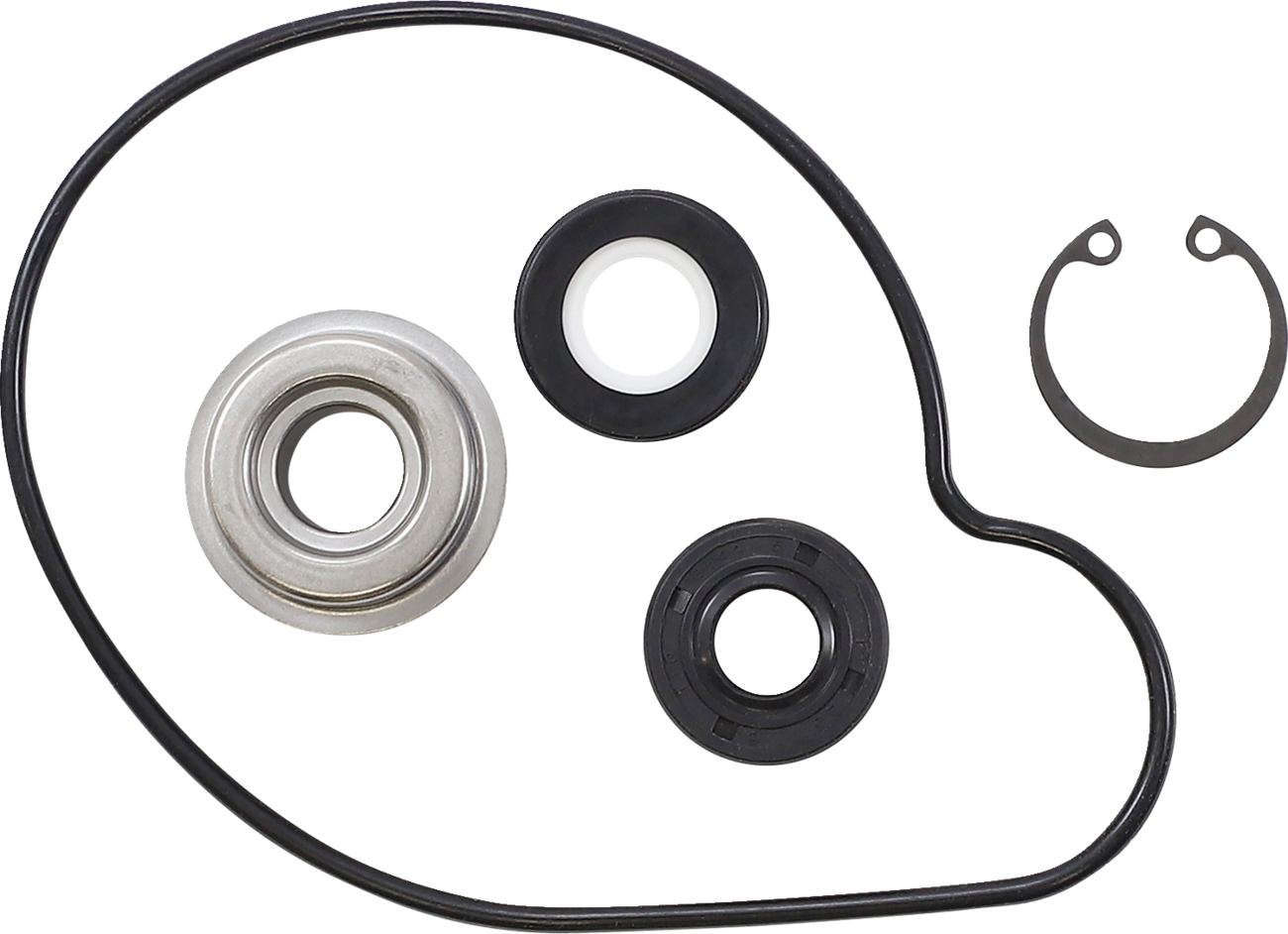 Water Pump Repair Kit