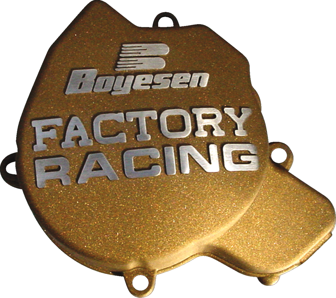 Factory Ignition Cover
