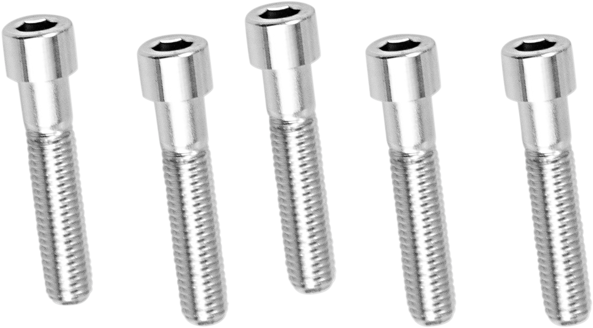 Drag Specialties Replacement Coarse Thread Socket-Head Bolts