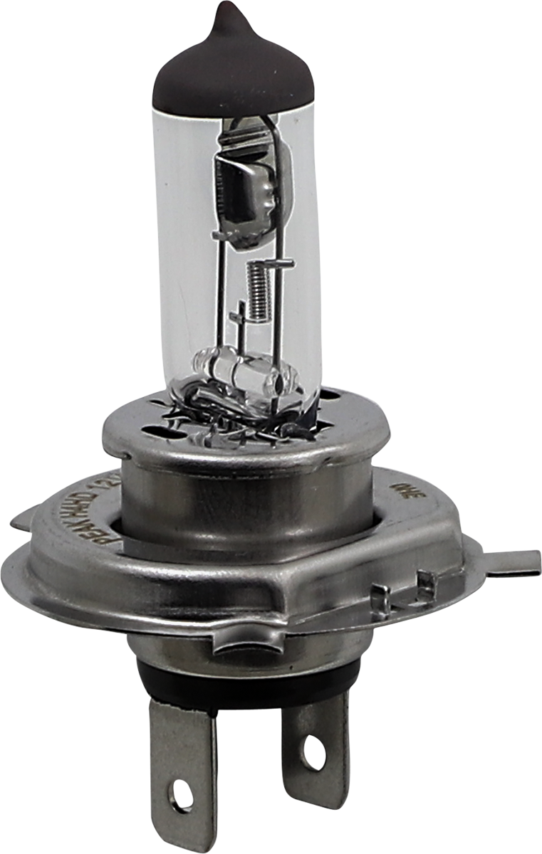 Halogen Bulb
