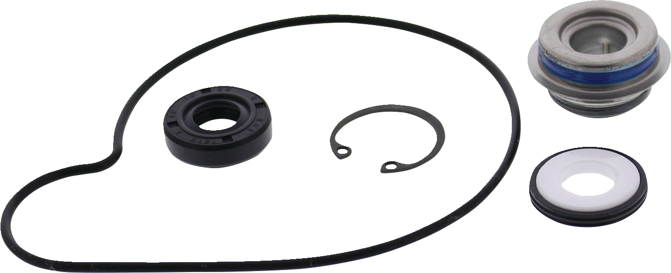 Water Pump Repair Kit