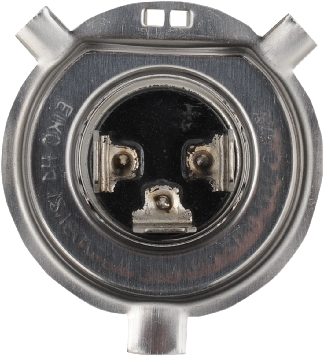 Halogen Bulb