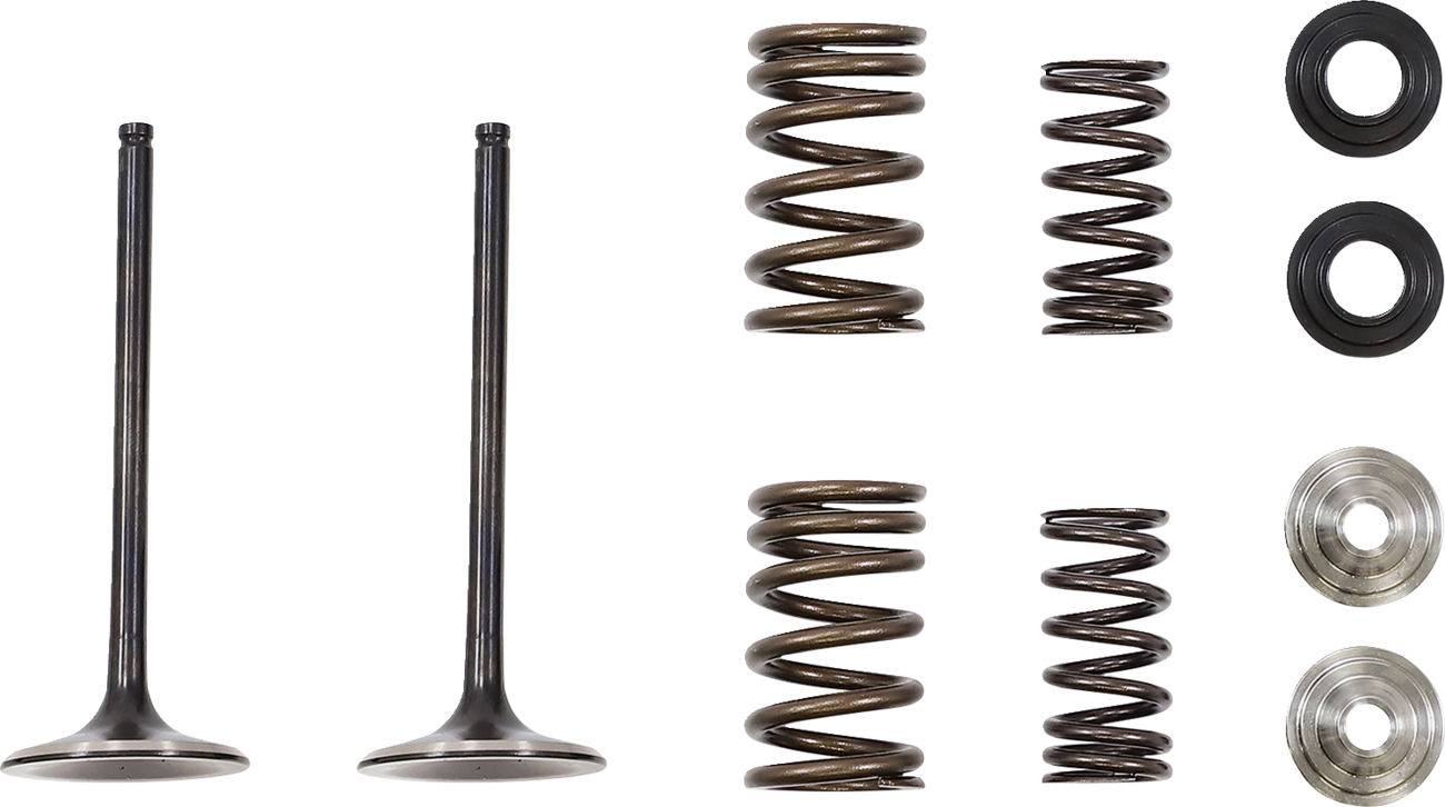 Moose Racing Intake Valve and Spring Kit