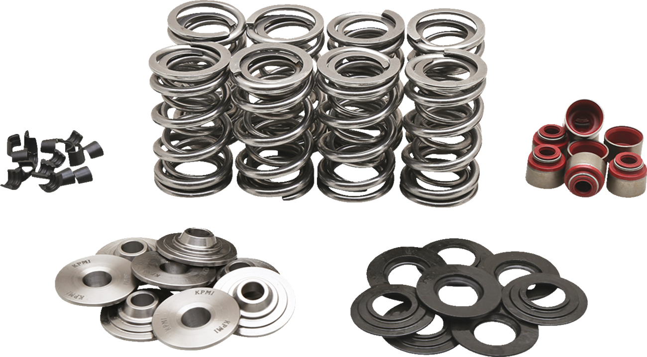 KIBBLEWHITE Valve Spring Kit