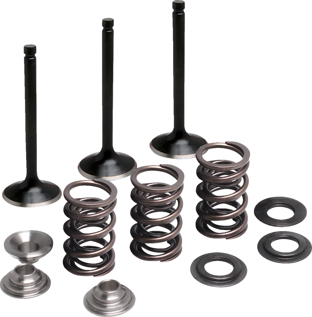 Moose Racing Valve and Spring Kit