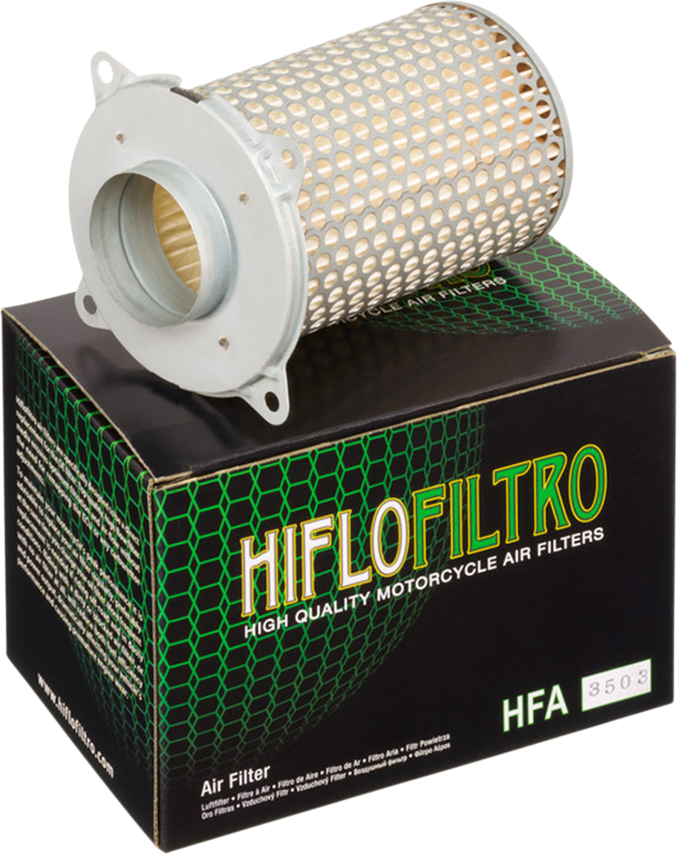 HiFloFiltro Air Filter HFA3503