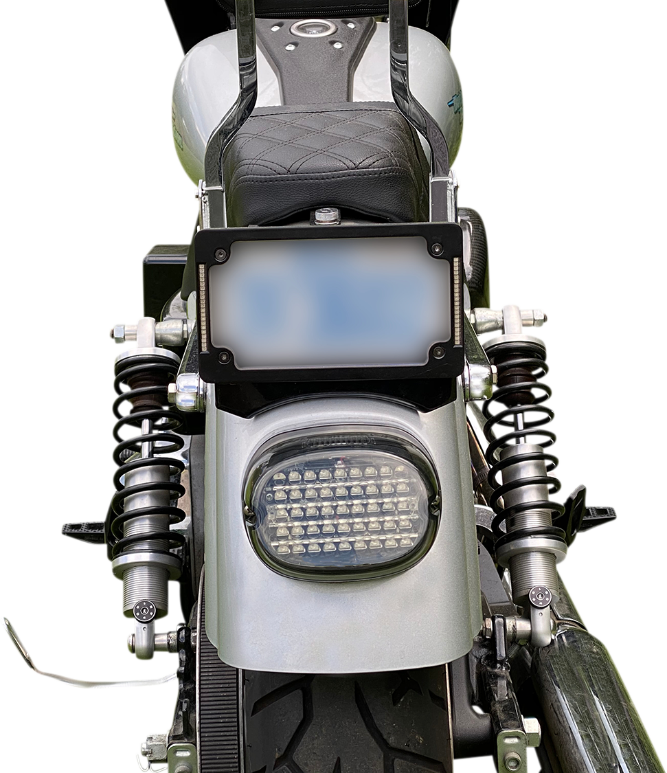 Custom Dynamics Low Profile LED Taillight For Harley 1999-2025