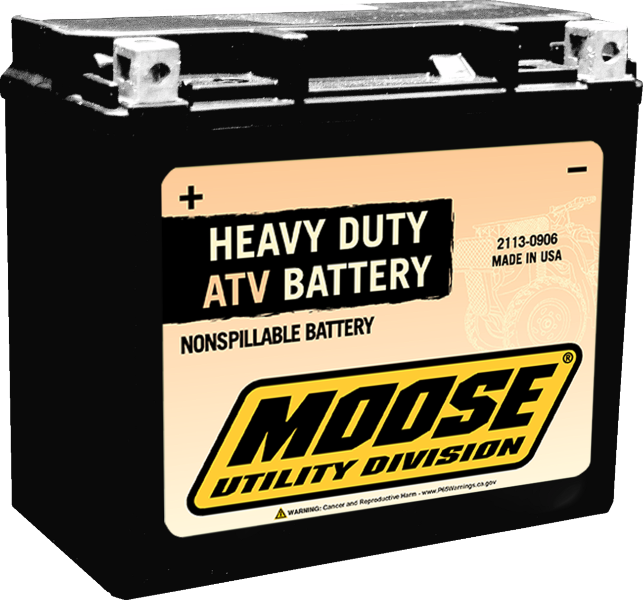 Factory-Activated AGM Maintenance-Free Battery