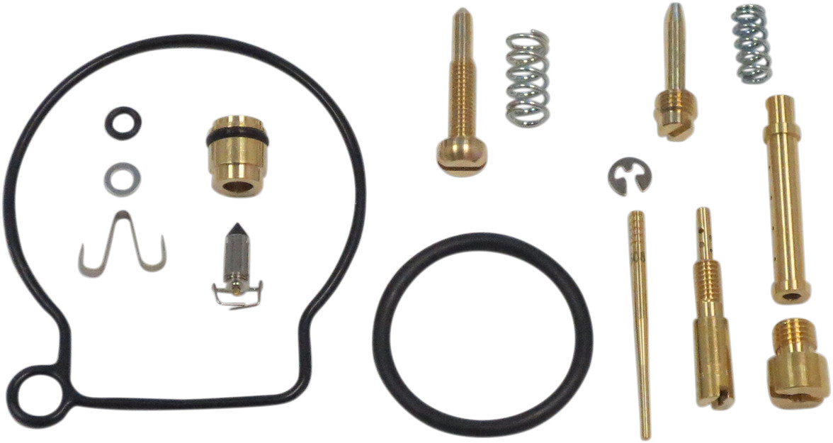 Carburetor Repair Kit