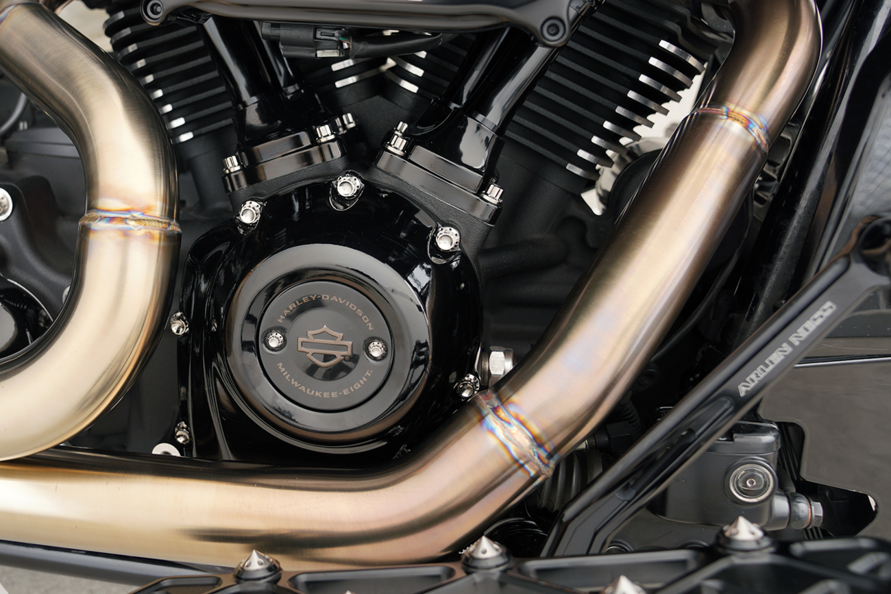 Arlen Ness 12-Point Titanium Cam & Point Cover Bolt Kit For Harley 2017-2025