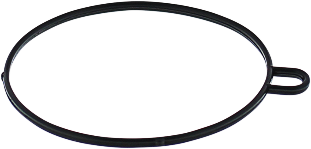Replacement Float Bowl Gasket