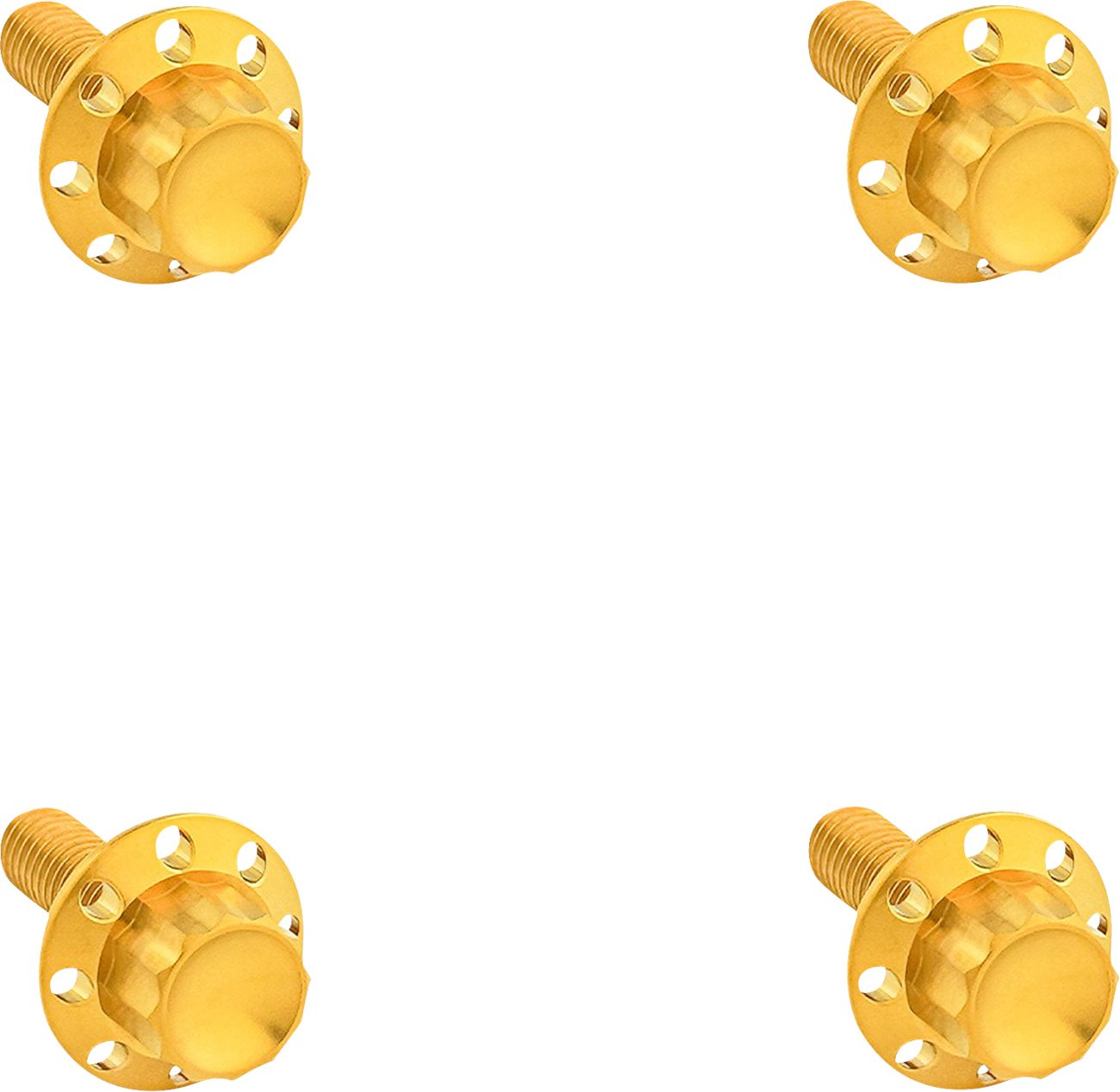 ARLEN NESS 12-Point Windshield Bolt Kit