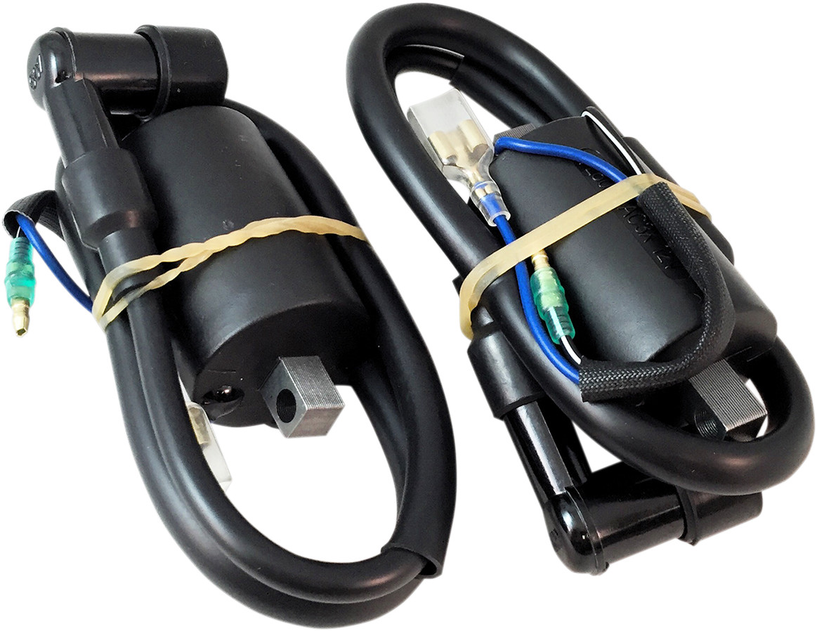 RICK'S MOTORSPORT ELECTRIC Ignition Coil