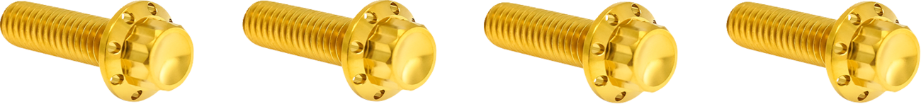 ARLEN NESS Transmission Top Cover Titanium 12-Point Bolt Kit