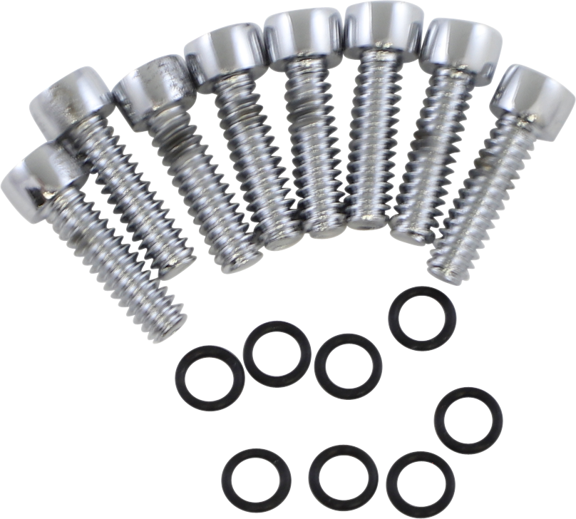 GARDNER-WESTCOTT Turn Signal Lens Bolt Kit