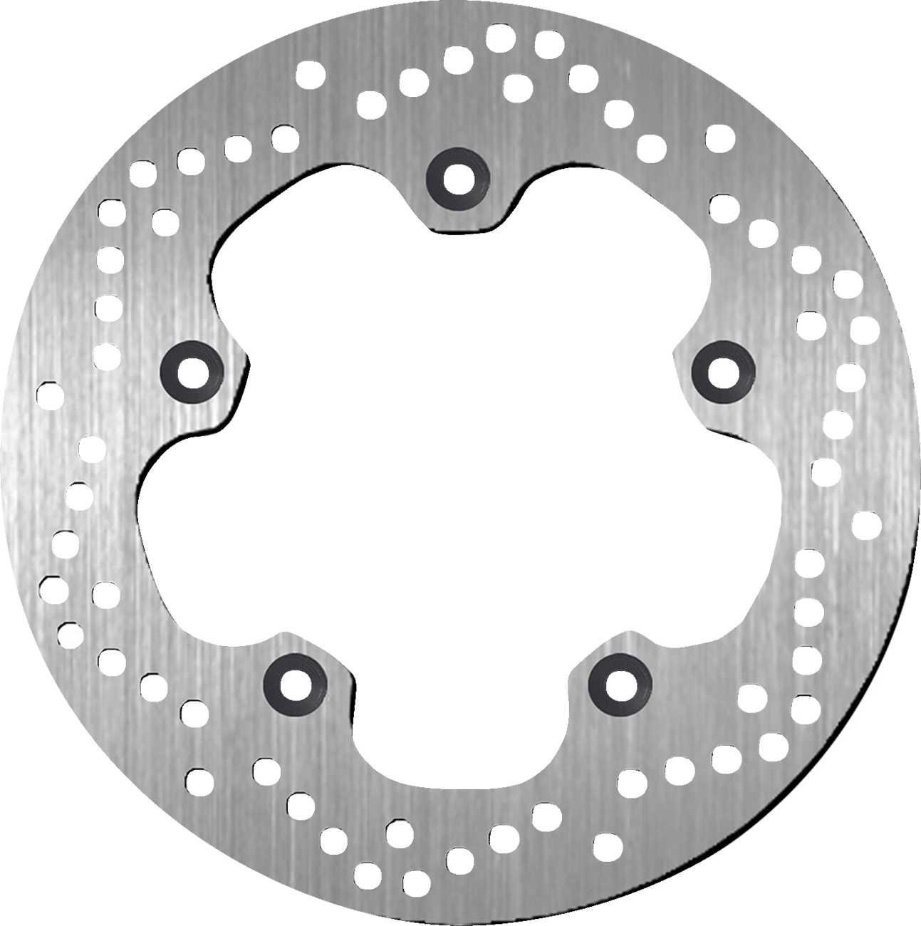 SBS Brake Rotor
