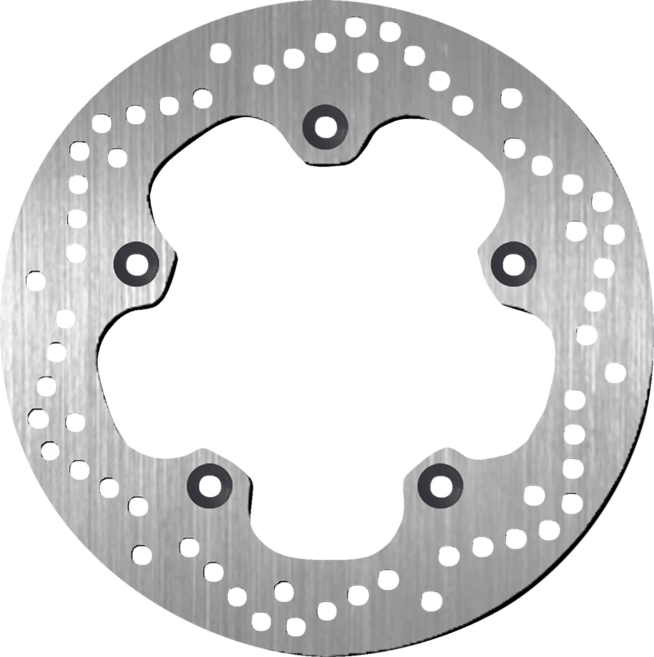SBS Brake Rotor