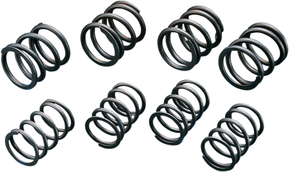 ANDREWS High-Lift Valve Springs