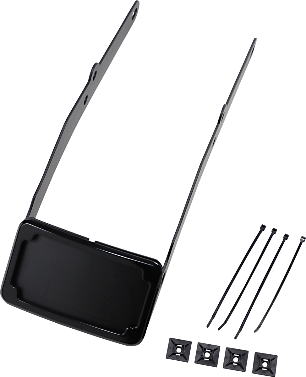 CYCLE VISIONS Curved License Mount with Frame