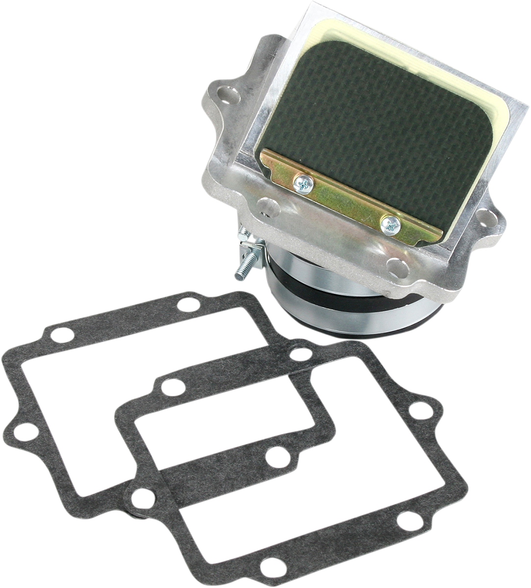 BOYESEN Rad Valve Reed Cage Assembly