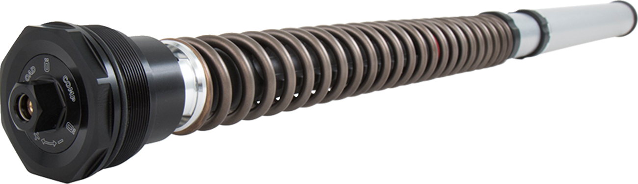 Ohlins NIX30 Street Cartridge Kit Ducati Scrambler 2015-2021