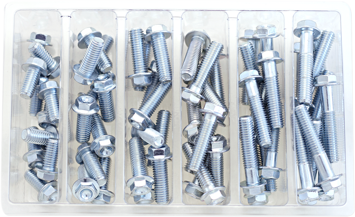 Bolt Hardware Hex Flange Bolt Assortment Pack