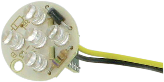 Small Globe Bulb