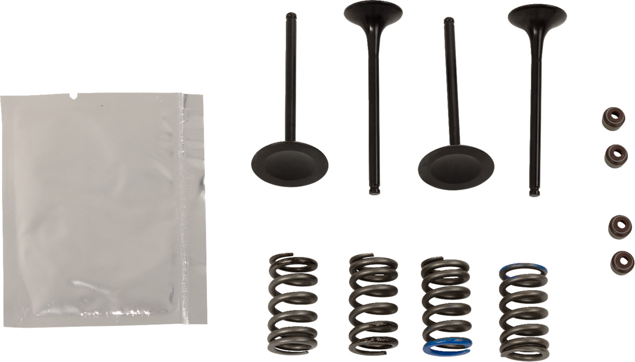 WISECO Valve Kit