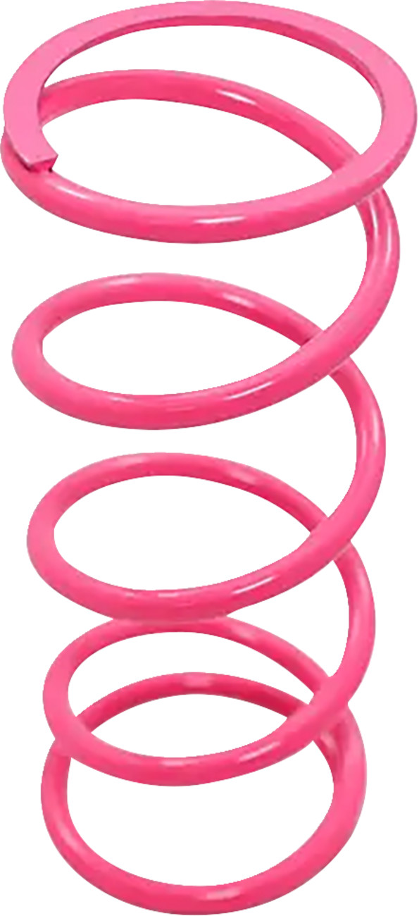 DYNOJET Primary Clutch Spring