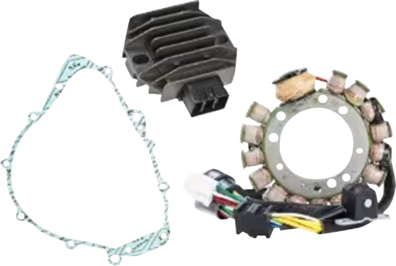 RICK'S MOTORSPORT ELECTRIC Charging Kit