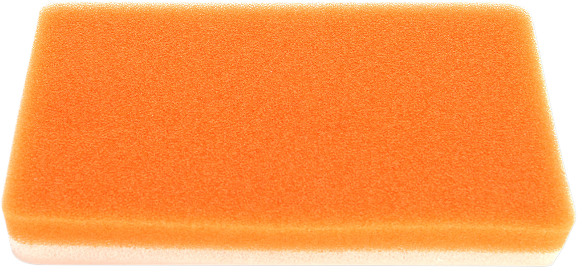 Twin air Standard Air Filter - Polaris