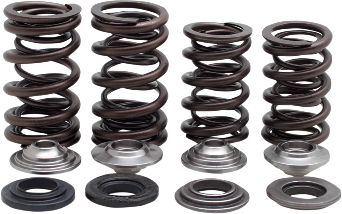 KIBBLEWHITE Valve Spring Kit