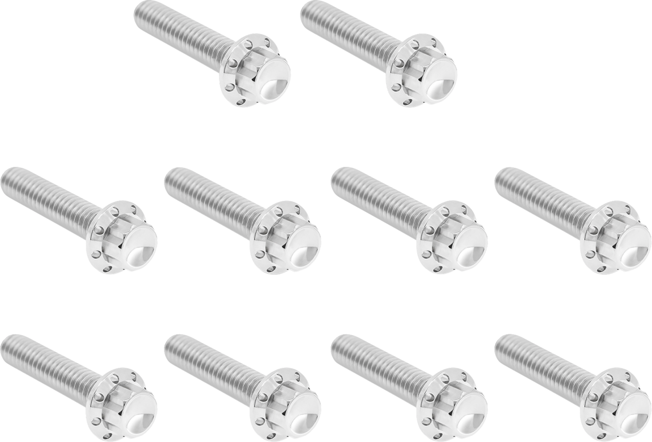 ARLEN NESS Cam Cover/Point Cover Titanium 12-Point Bolt Kit