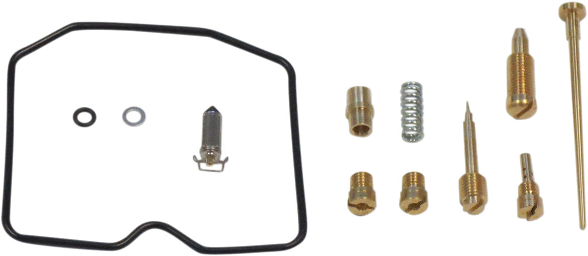 Carburetor Repair Kit