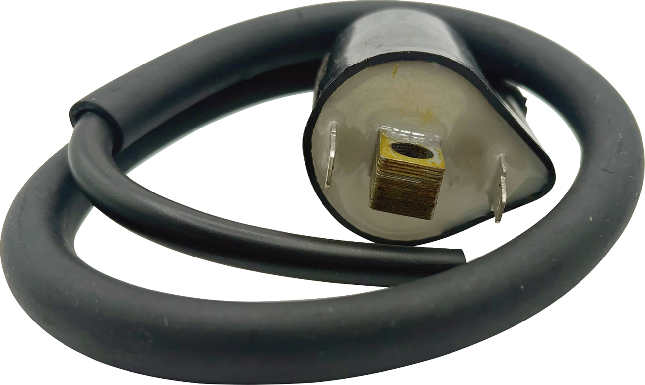 RICK'S MOTORSPORT ELECTRIC Ignition Coil