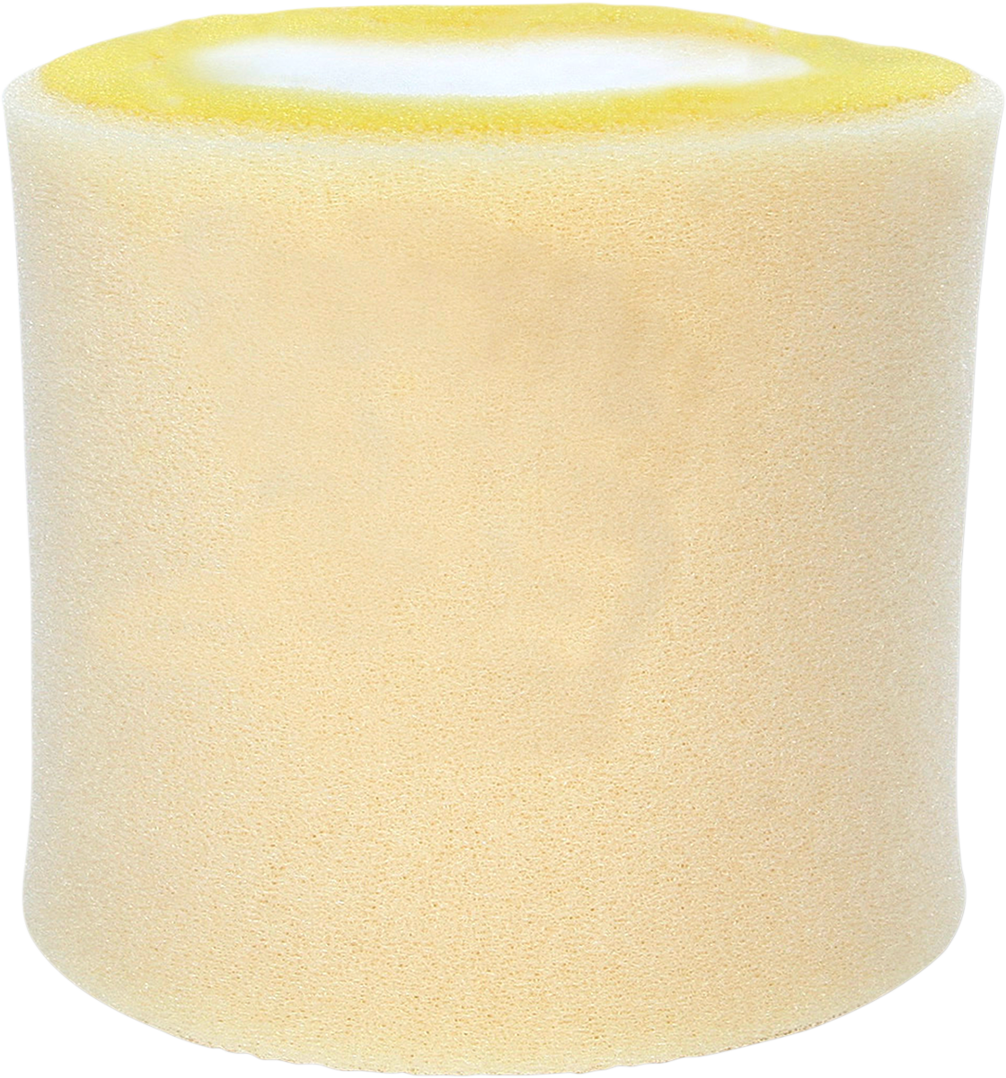 Foam Air Filter