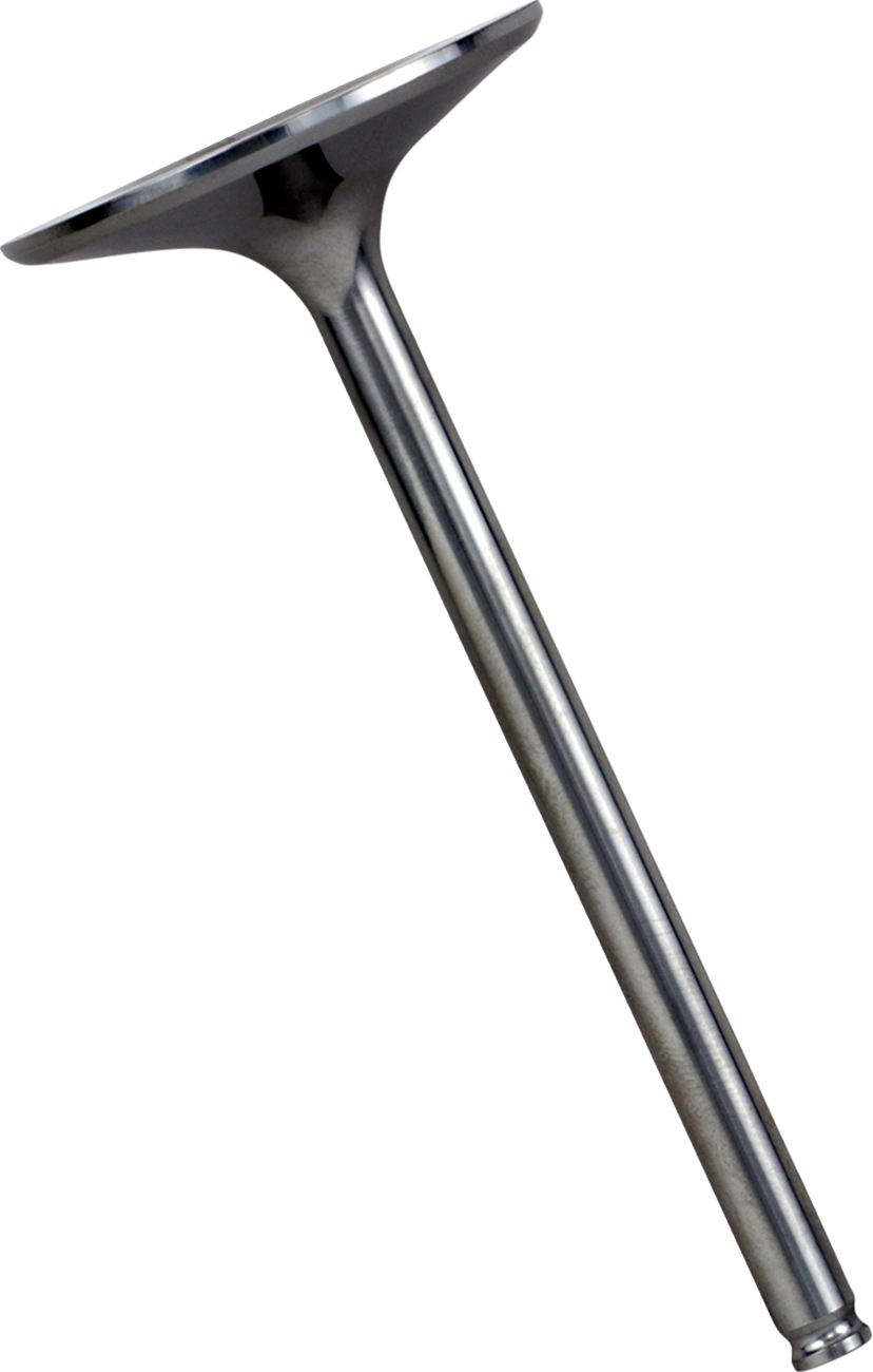 XCELDYNE Intake Valve