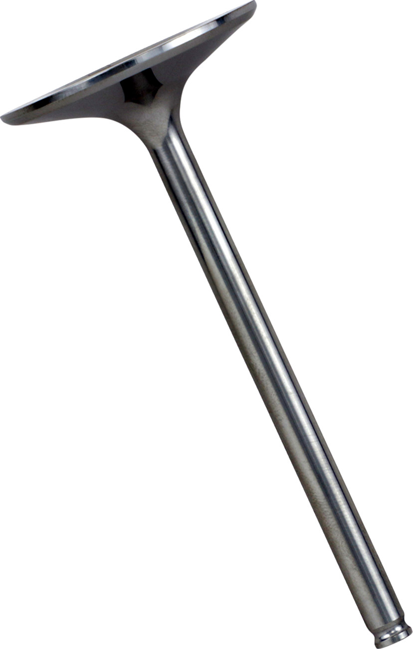 XCELDYNE Intake Valve