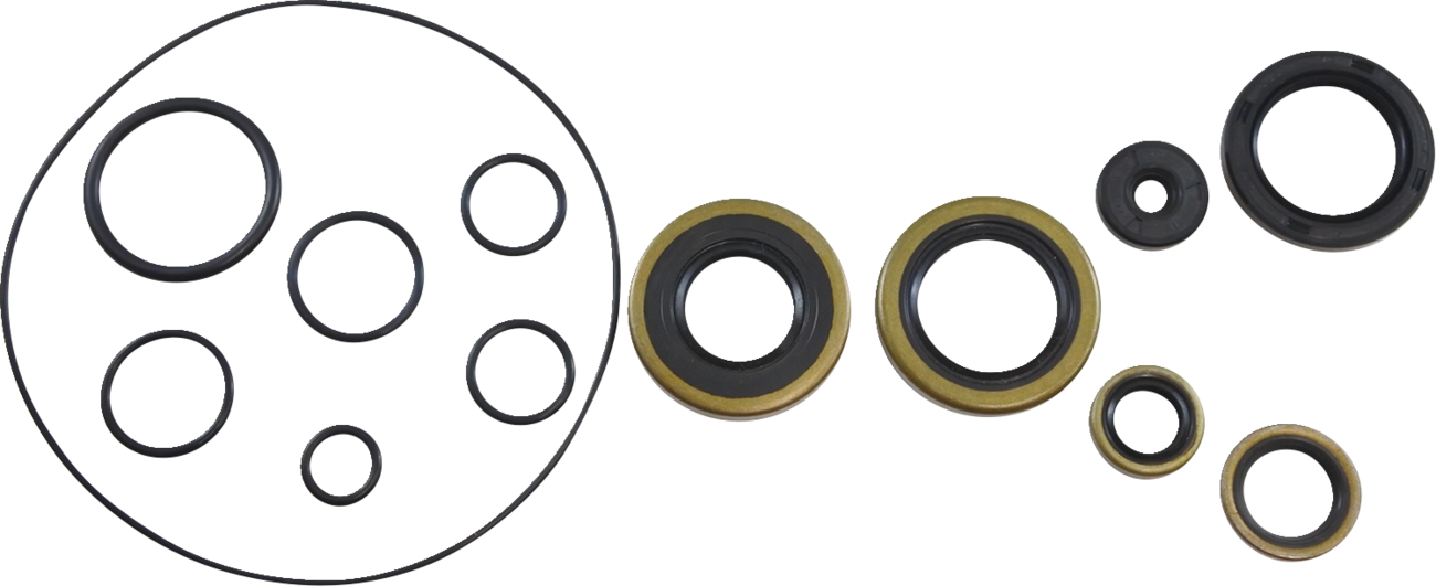 VINTCO Oil Seal Kit