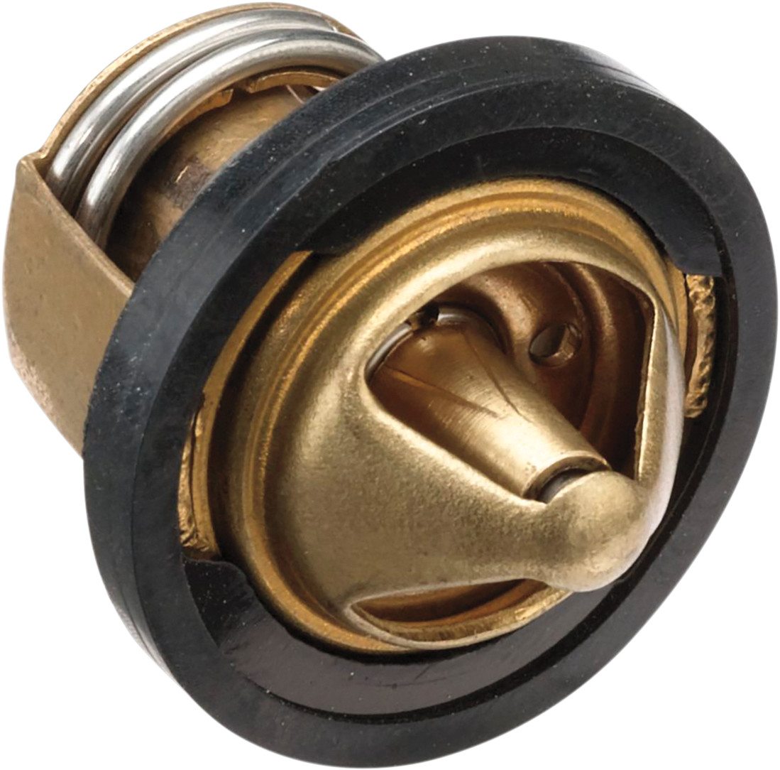 Moose Racing Replacement Thermostat - Polaris