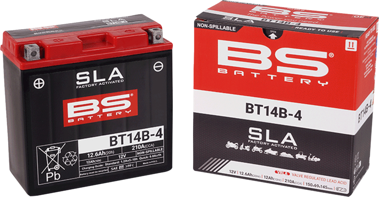 BS BATTERY SLA Factory- Activated AGM Maintenance-Free Battery