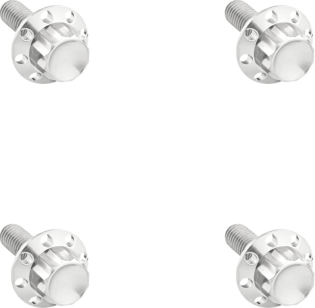 ARLEN NESS 12-Point Windshield Bolt Kit