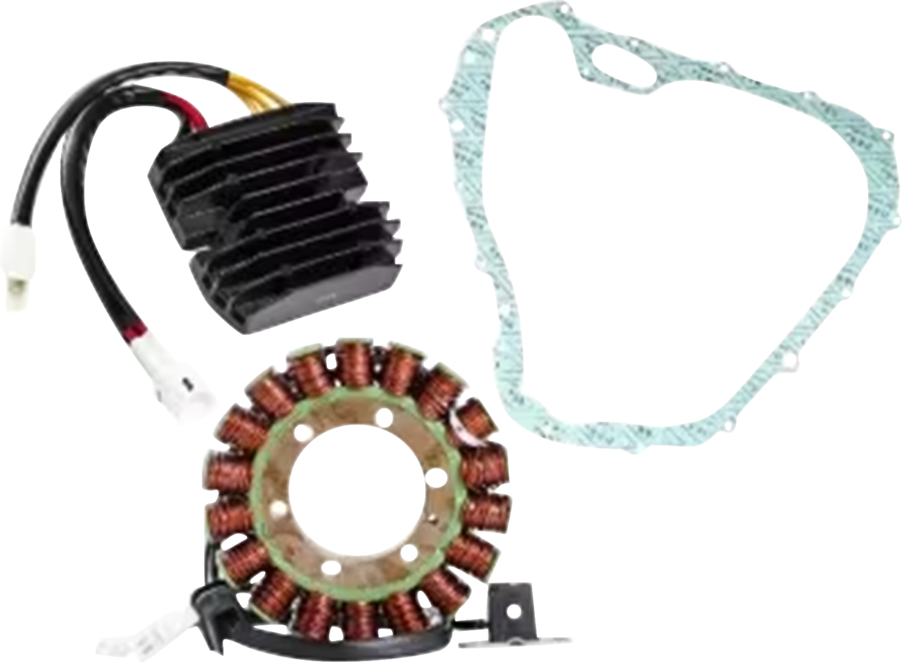 RICK'S MOTORSPORT ELECTRIC Charging Kit